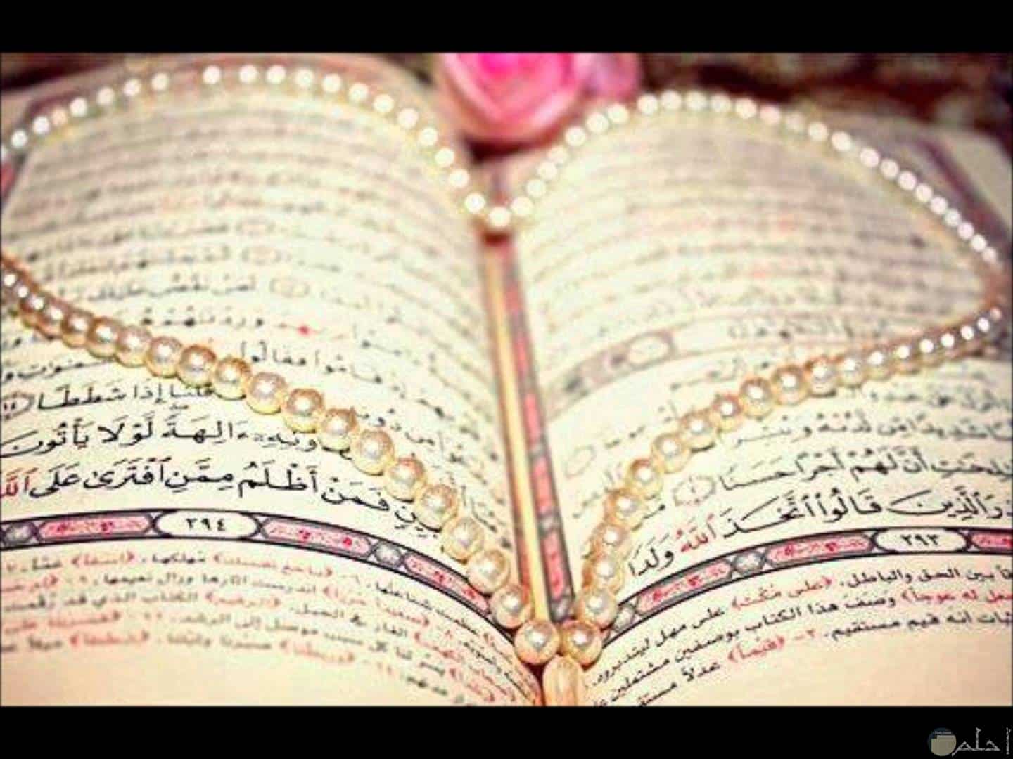 تحضيرالقرآن الكريم الصف الرابع الأبتدائي بندر الحازمي الفصل الثاني "<yoastmark