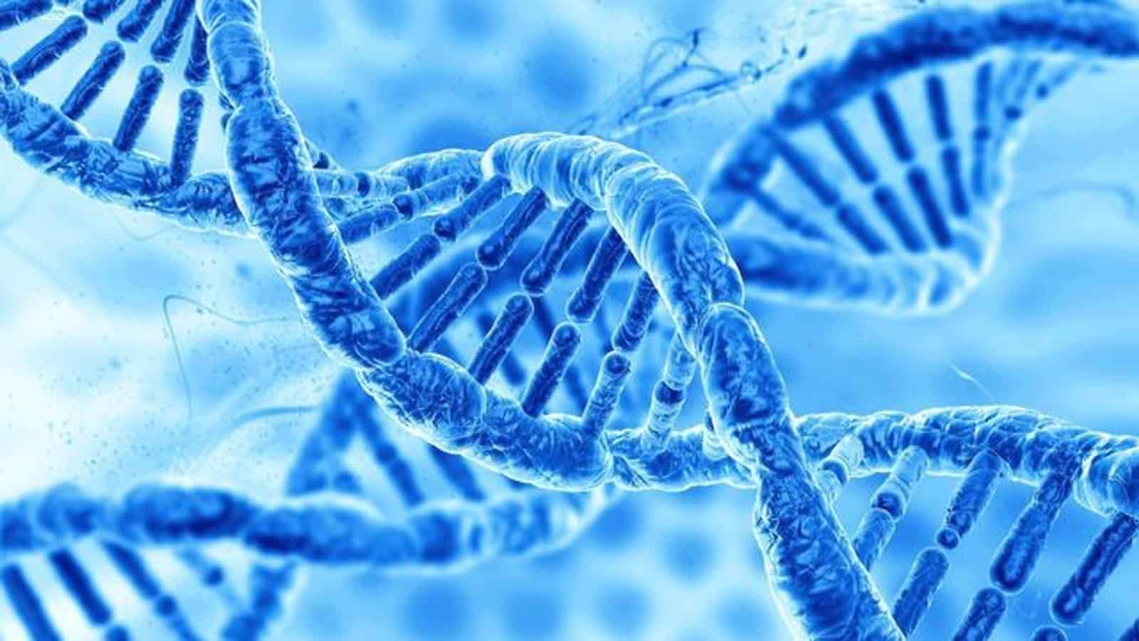 وضح أهمية الإثيلين ؟ مادة الأحياء 3 مقررات وضح أهمية الإثيلين ؟ مادة الأحياء 3 مقررات لعام 1443 هـ