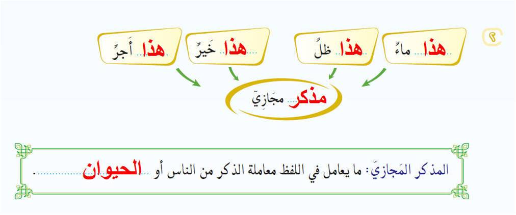 مذكر حقيقي ومذكر مجازى "<yoastmark