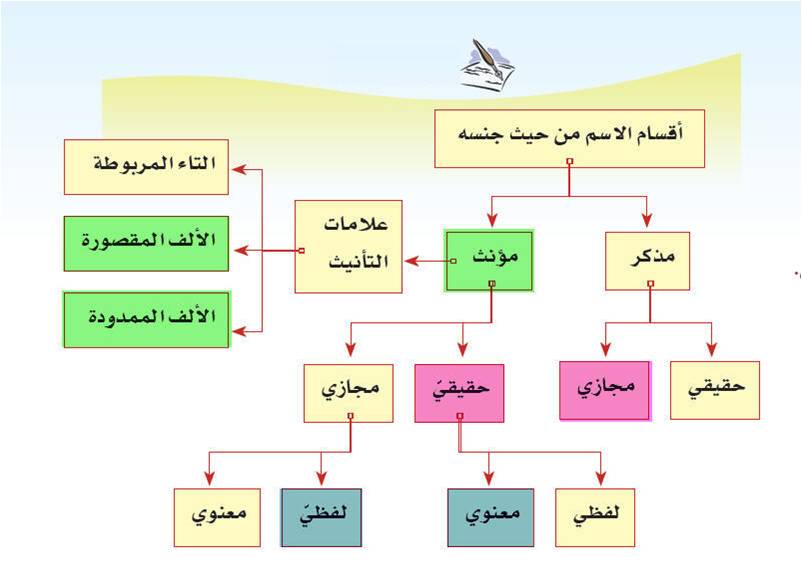 مذكر حقيقي ومذكر مجازى "<yoastmark