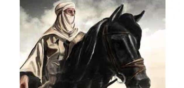 معنى سجيس الليالي او يزيرونني اللحدا معنى سجيس الليالي او يزيرونني اللحدا