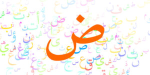 مهارات مادة لغتي أول كبيرات الفصل الدراسي الأول مهارات مادة لغتي أول كبيرات الفصل الدراسي الأول 1441