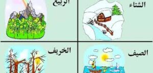 تحضير الوزارة درس الفصول الأربعة مادة اجتماعيات الصف الرابع الابتدائي فصل دراسي أول العام الدراسي 1440هـ