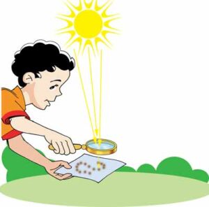 ركن الادراك وحدة الضوء رياض اطفال