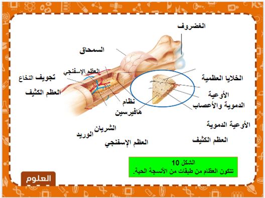 تحضير مادة العلوم ثاني متوسط فصل ثالث