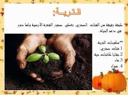 حل أسئلة مادة علوم درس التربة الصف الثالث الابتدائي الفصل الدراسى الاول