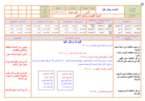 حل اسئلة درس نص الاستماع في مكتبتي مادة لغتى للصف السادس الابتدائي الفصل الدراسي الأول 1441
