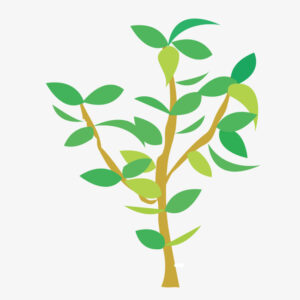 استمارة تحضير ركن الفن وحدة النبات رياض اطفال