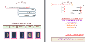 اوراق عمل  درس  العلاقات في الأنظمة البيئية  مادة علوم للصف الرابع الابتدائي الفصل الدراسي الثاني