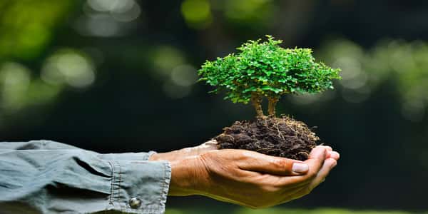 ورق عمل درس انتقال الطاقة في النظان البيئي مادة علم البيئة والتربية البيئة مقررات الصف الاول عام 1442هـ