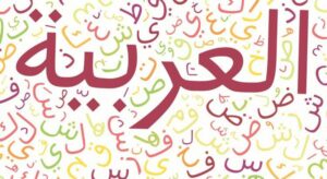 بوربوينت درس فئات تكلؤها عين الشريعة مادة لغتي الصف الثالث المتوسط الفصل الدراسي الاول 1441