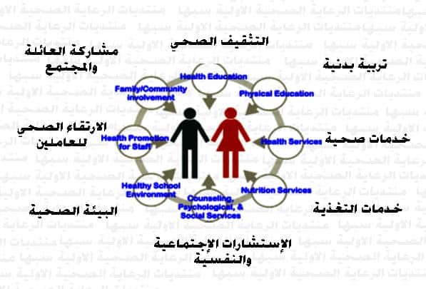 باوربوينت درس العادات الغذائية بين الخطأ والصواب مادة التربية الصحية والنسوية مقررات عام 1442هـ