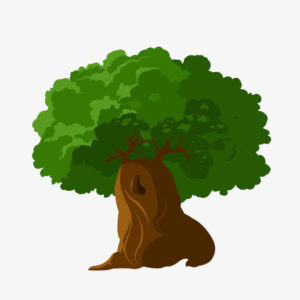 ركن القراءة والكتابة وحدة النبات رياض اطفال