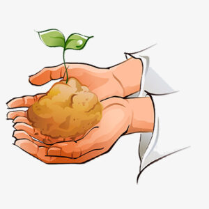 ركن المكعبات وحدة النبات رياض اطفال