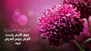 تحضير عين درس أثر الايمان بأسماء الله وصفاته في حياتنا مادة التوحيد الصف الرابع الابتدائي الفصل الدراسي الثاني 1441