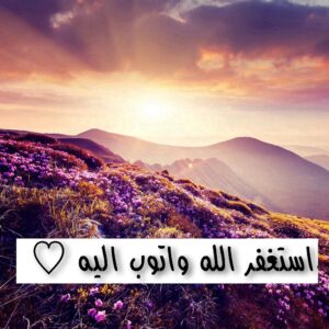 تحضير الوزاره درس توحيد الاسماء والصفات مادة التوحيد الصف الرابع الابتدائي الفصل الدراسي الثاني 1441