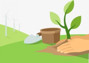ركن الالعاب الادراكية وحدة النبات رياض اطفال