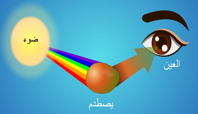 وسائل لفترة الوجبة الغذائية وحدة الضوء رياض الاطفال وسائل لفترة الوجبة الغذائية وحدة الضوء رياض الاطفال