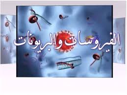 أوراق عمل درس الفيروسات والبريونات مادة الاحياء 1 نظام مقررات 1442 هـ