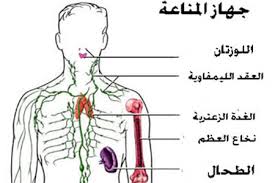 جهاز المناعة