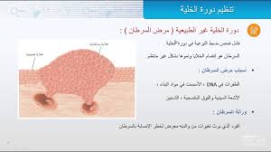 أوراق عمل درس تنظيم دورة الخلية مادة الاحياء 3 نظام مقررات الفصل الدراسي الثاني 1442 هــ