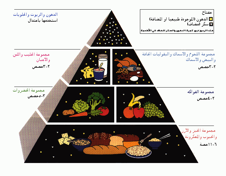 ورق عمل درس العناصر المعدنية مادة التربية الصحية والنسوية مقررات عام 1442هـ
