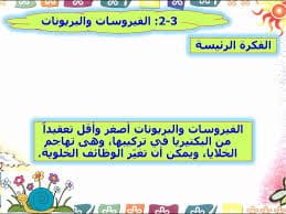 الفيروسات والبريونات