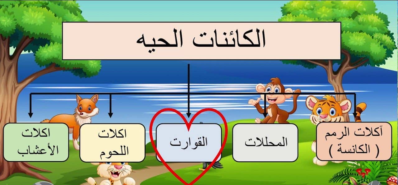 حل اسئلة درس تصنيف المخلوقات الحية علوم رابع ابتدائي 1443 هـ