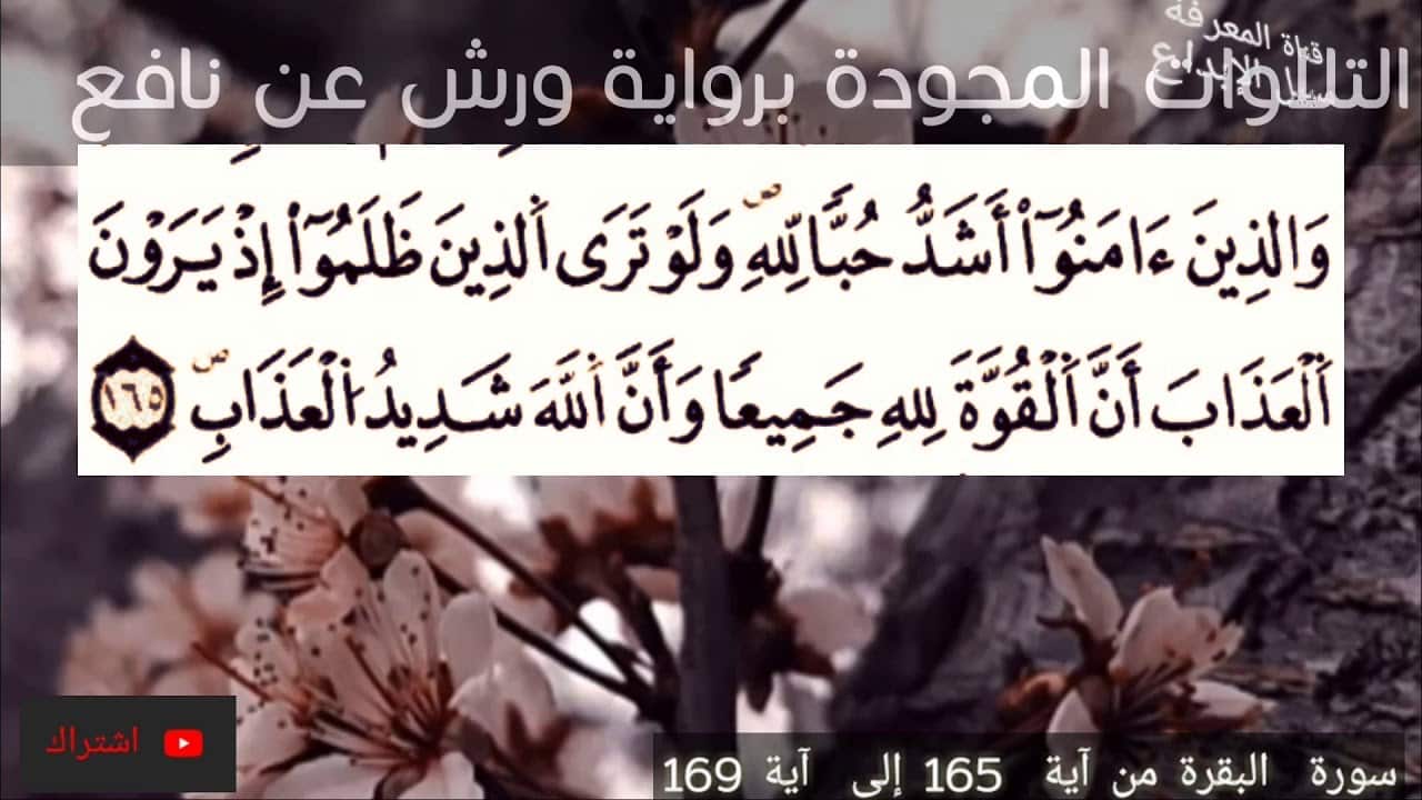 مهارات درس سورة البقرة من 165 - 169 مادة التفسير 2 نظام مقررات الفصل الدراسي الثاني 1442 هـ
