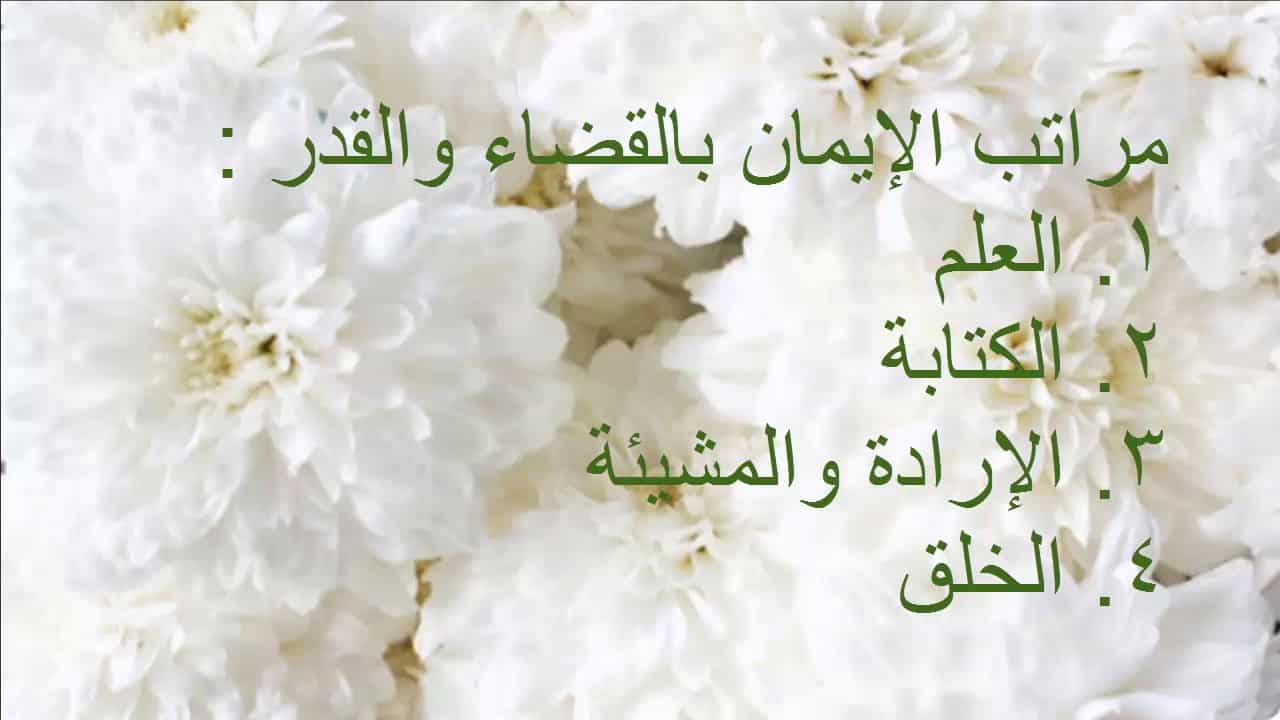 مهارات درس مراتب الايمان بالقدر مادة التوحيد 2 نظام مقررات الفصل الدراسي الثاني 1442 هـ