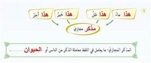 أوراق عمل درس الصنف اللغوي المذكر والمؤنث مادة لغتي الصف الأول متوسط فصل دراسي أول العام الدراسي 1440هـ