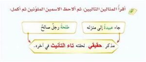 حل أسئلة درس الصنف اللغوي المذكر والمؤنث مادة لغتي الصف الأول متوسط فصل دراسي أول العام الدراسي 1440هـ
