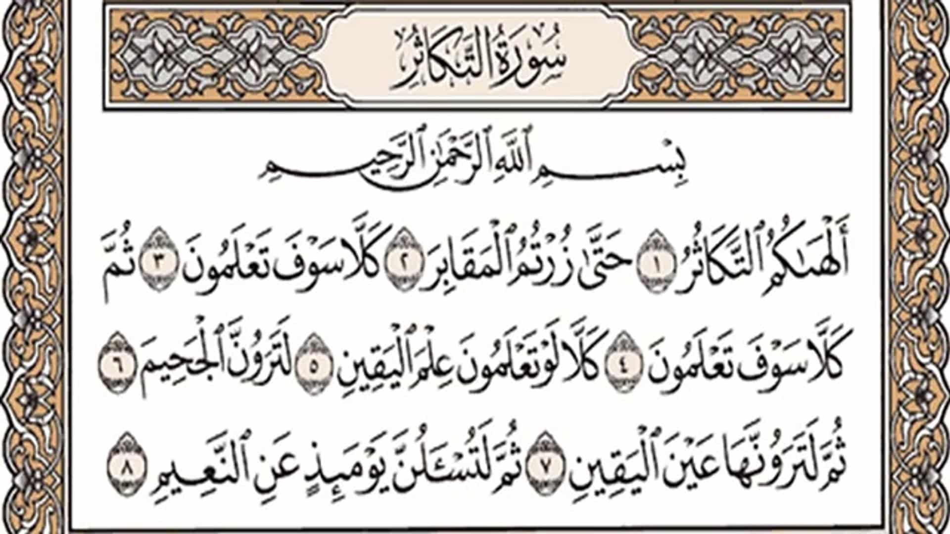 التكاثر