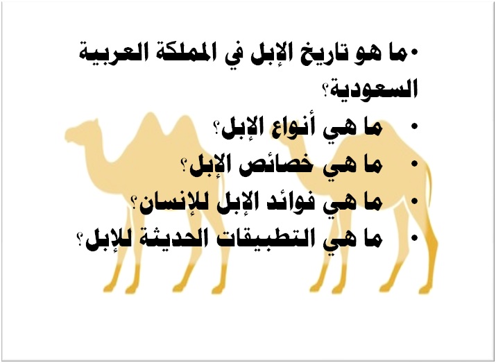 أمثلة على أسئلة عام الإبل 2024