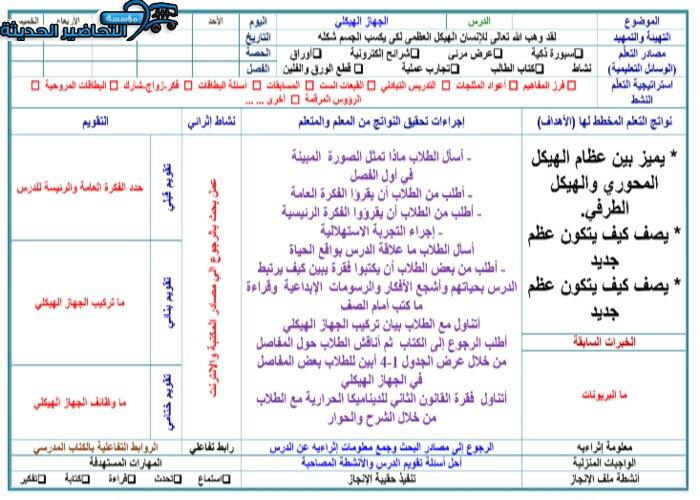 أوراق عمل درس الجهاز الهيكلي مادة الاحياء 2 نظام مقررات