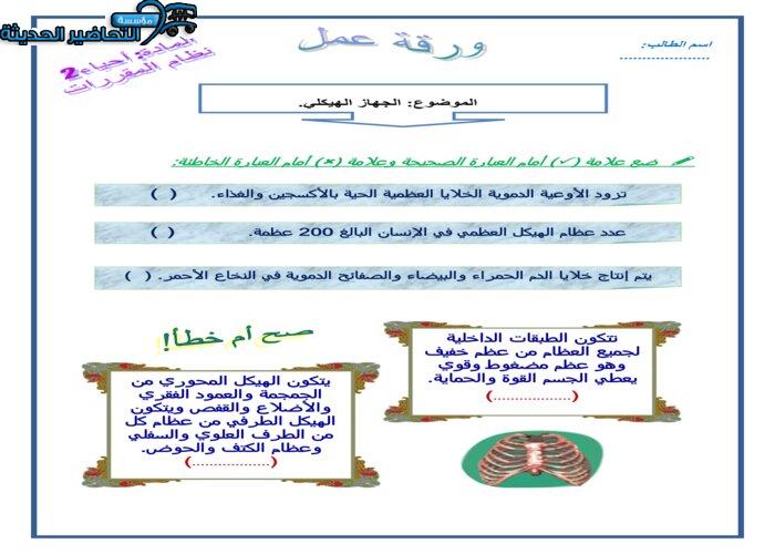 أوراق عمل درس الجهاز الهيكلي مادة الاحياء 2 نظام مقررات