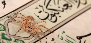 مهارات مادة التفسير درس التعريف بسورة العنكبوت (45-46) الصف الاول المتوسط الفصل الدراسى الثانى 