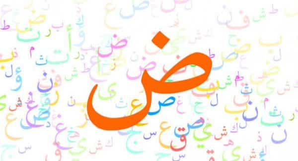 تحضير درس إعراب الفعل المضارع مادة الكفايات اللغوية 1 نظام المقررات 1442 هـ