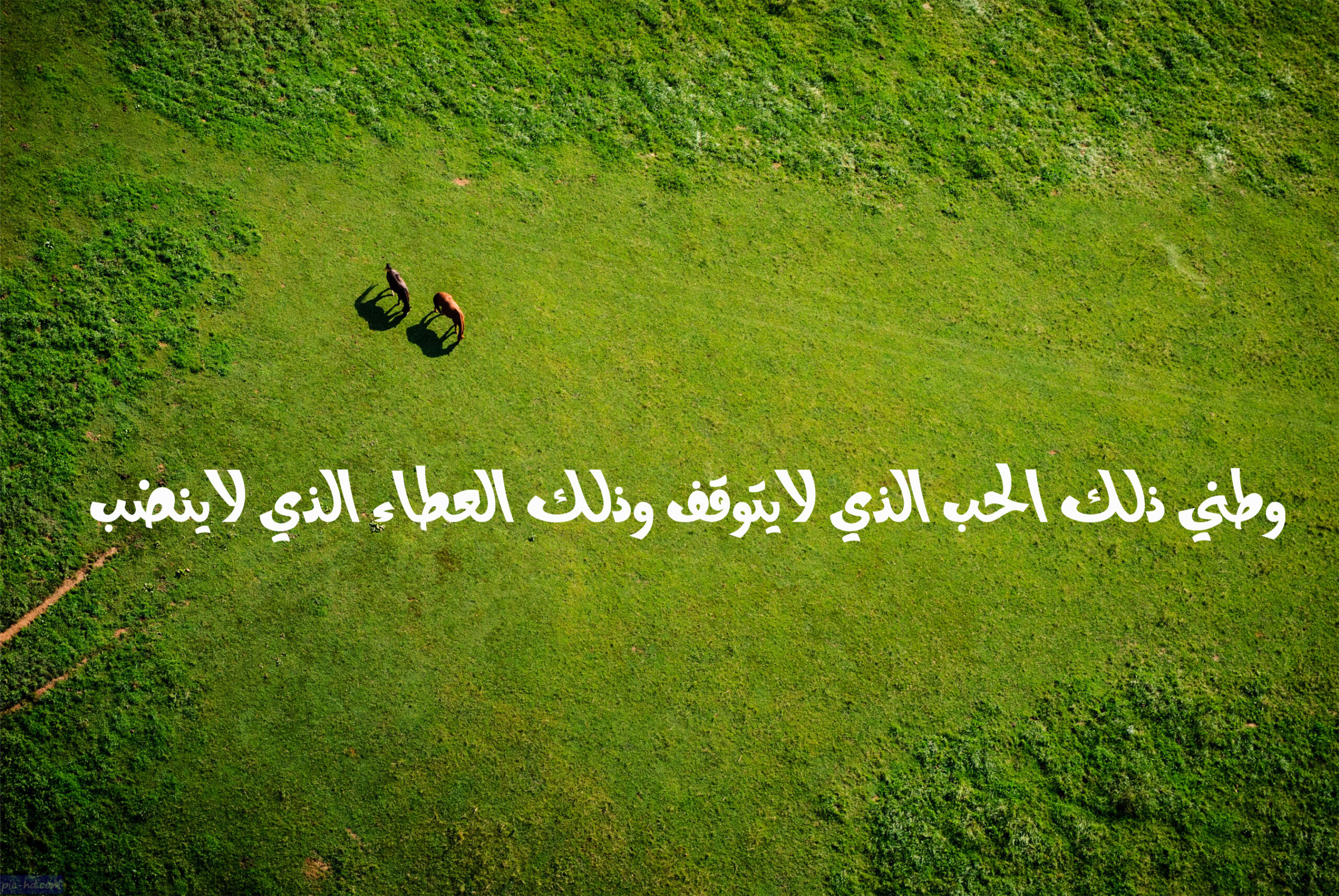 بوربوينت درس نشيد وطني مادة لغتي الصف الخامس الفصل الدراسي الثاني 1441