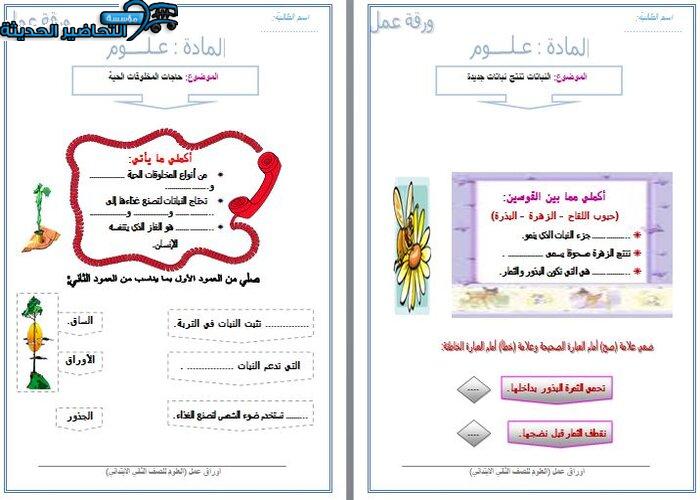 اختبارات علوم الصف الثاني الابتدائي الفصل الأول مدرستي