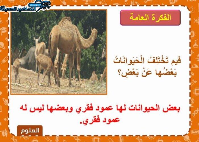اختبارات علوم الصف الرابع الابتدائي الفصل الأول مدرستي