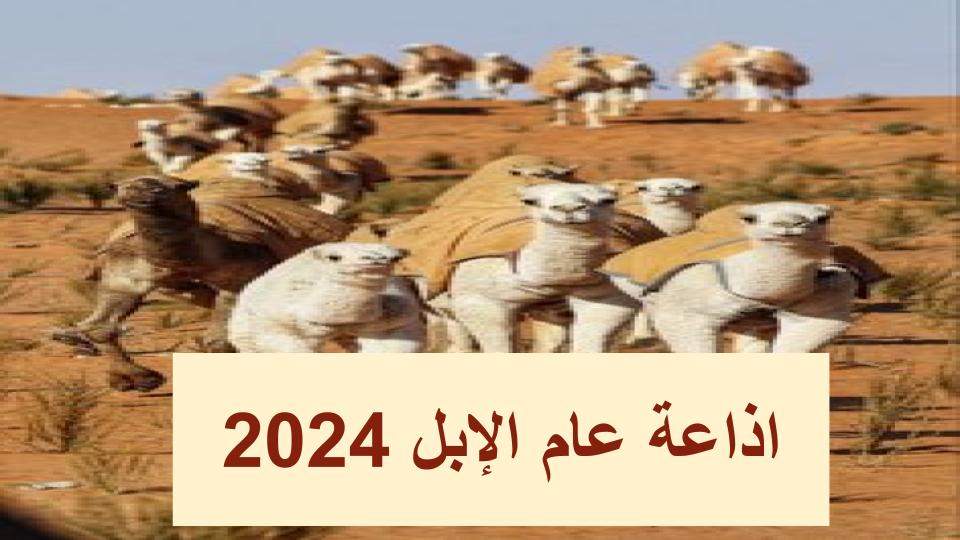 اذاعة عام الإبل 2024