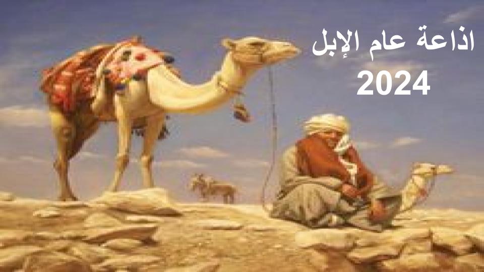 اذاعة عام الإبل 2024