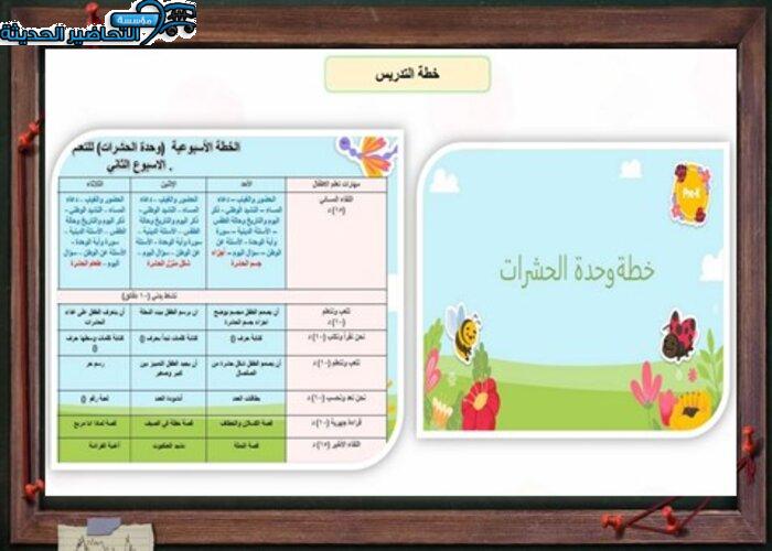 التخطيط للفهم وحدة الحشرات رياض اطفال التخطيط للفهم وحدة الحشرات رياض اطفال