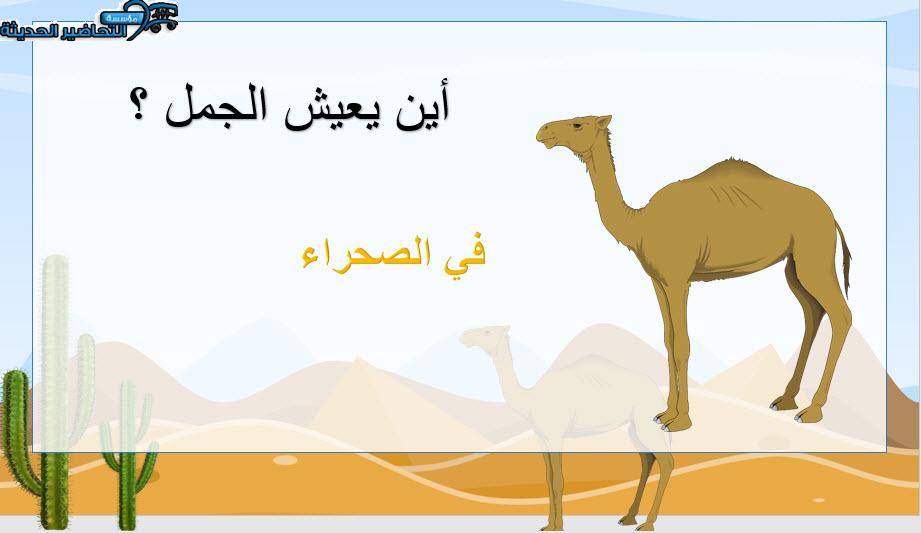 الحيوانات في الصحراء وحدة الرمل رياض اطفال الحيوانات في الصحراء وحدة الرمل رياض اطفال
