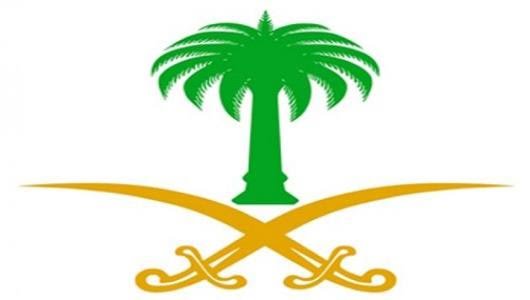 الدليل الأجرائي مستوى ثالث وحدة رؤية 2030 رياض أطفال