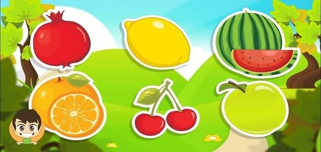 الفرق بين الفواكه والخضروات للأطفال الفرق بين الفواكه والخضروات للأطفال