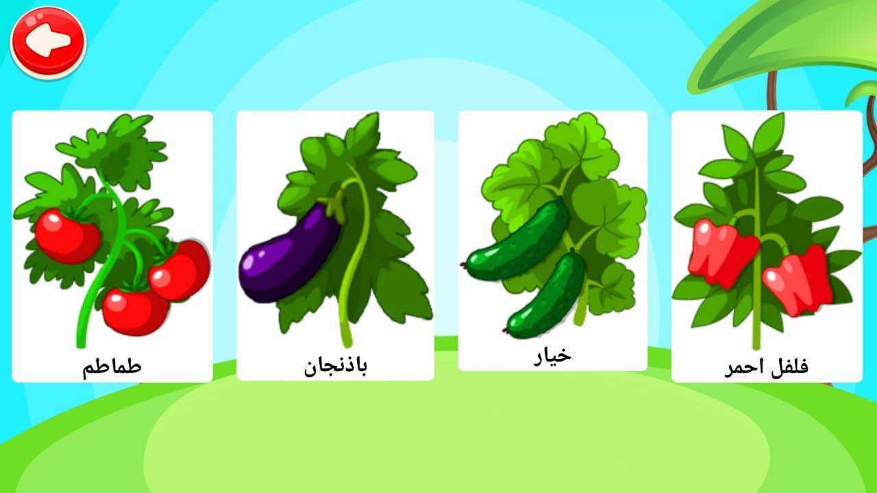 الفرق بين الفواكه والخضروات للأطفال الفرق بين الفواكه والخضروات للأطفال