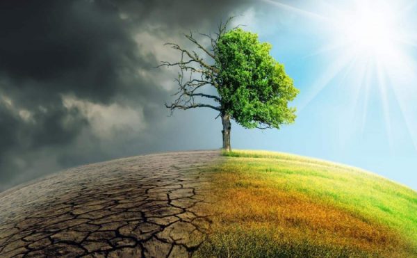 موضوع تعبير عن البيئة والمحافظة عليها
