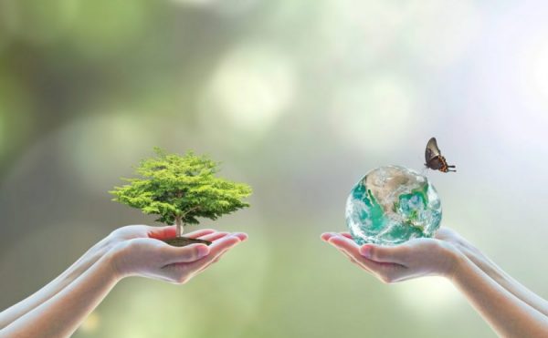مهارات درس المخلوقات الحية وعلاقاتها المتبادلة مادة علم البيئة مقررات عام 1442هـ